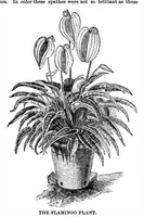 Picture 11 of 17 from Scientific American, Vol. 33, No. 16 (1875) (1875), leaf 8