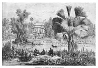 Picture 11 of 15 from Scientific American, Vol. 33, No. 18 (1875) (1875), leaf 8