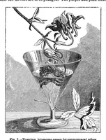 Picture 10 of 14 from Scientific American, Vol. 33, No. 20 (1875) (1875), leaf 8