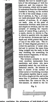 An illustration from Scientific American, Vol. 33, No. 21 (1875) (1875)