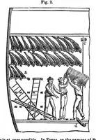 Picture 3 of 17 from Scientific American, Vol. 33, No. 21 (1875) (1875), leaf 3