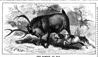 Picture 12 of 13 from Scientific American, Vol. 33, No. 22 (1875) (1875), leaf 8