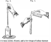 Picture 5 of 12 from Scientific American, Vol. 33, No. 26 (1875) (1875), leaf 3