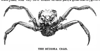 Picture 5 of 11 from Scientific American, Vol. 34, No. 5 (1876) (1876), leaf 5