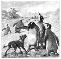 Picture 9 of 11 from Scientific American, Vol. 34, No. 5 (1876) (1876), leaf 8