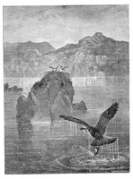 Picture 10 of 17 from Scientific American, Vol. 34, No. 7 (1876) (1876), leaf 8