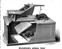 Picture 5 of 20 from Scientific American, Vol. 34, No. 14 (1876) (1876), leaf 3