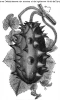 Picture 13 of 17 from Scientific American, Vol. 34, No. 16 (1876) (1876), leaf 8