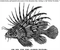 Picture 11 of 14 from Scientific American, Vol. 34, No. 17 (1876) (1876), leaf 8