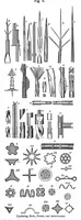 Picture 7 of 15 from Scientific American, Vol. 34, No. 18 (1876) (1876), leaf 6
