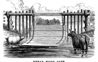 Picture 11 of 15 from Scientific American, Vol. 34, No. 18 (1876) (1876), leaf 7