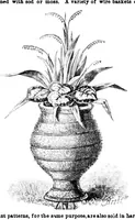 Picture 4 of 22 from Scientific American, Vol. 34, No. 20 (1876) (1876), leaf 3
