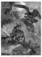 An illustration from Scientific American, Vol. 34, No. 25 (1876) (1876)