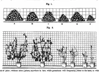 Picture 9 of 21 from Scientific American, Vol. 35, No. 4 (1876) (1876), leaf 8