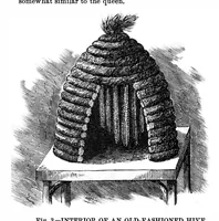 Picture 8 of 15 from Scientific American, Vol. 35, No. 7 (1876) (1876), leaf 8