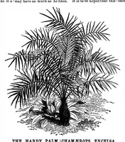 An illustration from Scientific American, Vol. 35, No. 8 (1876) (1876)