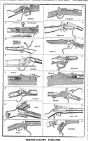Picture 3 of 11 from Scientific American, Vol. 35, No. 9 (1876) (1876), leaf 3