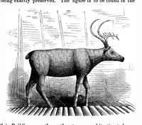 Picture 8 of 11 from Scientific American, Vol. 35, No. 9 (1876) (1876), leaf 7