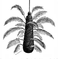 Picture 9 of 11 from Scientific American, Vol. 35, No. 9 (1876) (1876), leaf 7