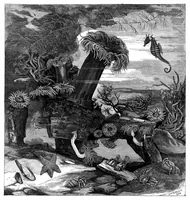 Picture 10 of 11 from Scientific American, Vol. 35, No. 9 (1876) (1876), leaf 8