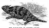 Picture 12 of 15 from Scientific American, Vol. 35, No. 10 (1876) (1876), leaf 10