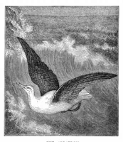 Picture 9 of 15 from Scientific American, Vol. 35, No. 10 (1876) (1876), leaf 8