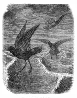 An illustration from Scientific American, Vol. 35, No. 10 (1876) (1876)