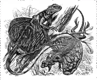 An illustration from Scientific American, Vol. 35, No. 20 (1876) (1876)
