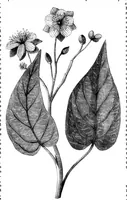 An illustration from Scientific American, Vol. 35, No. 22 (1876) (1876)