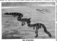 Picture 10 of 11 from Scientific American, Vol. 35, No. 23 (1876) (1876), leaf 8