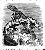 Picture 11 of 14 from Scientific American, Vol. 35, No. 25 (1876) (1876), leaf 8