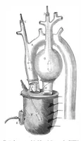 Picture 7 of 19 from Scientific American, Vol. 36, No. 4 (1877) (1877), leaf 4