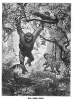 Picture 1 of 17 from Scientific American, Vol. 36, No. 5 (1877) (1877), leaf 0