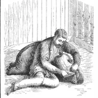 An illustration from Scientific American, Vol. 36, No. 5 (1877) (1877)