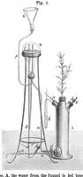 Picture 11 of 17 from Scientific American, Vol. 36, No. 5 (1877) (1877), leaf 7