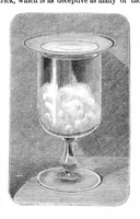 An illustration from Scientific American, Vol. 36, No. 5 (1877) (1877)