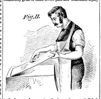 Picture 9 of 16 from Scientific American, Vol. 36, No. 12 (1877) (1877), leaf 6