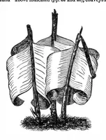 Picture 6 of 15 from Scientific American, Vol. 36, No. 14 (1877) (1877), leaf 5
