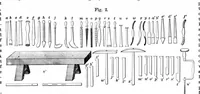 An illustration from Scientific American, Vol. 36, No. 14 (1877) (1877)