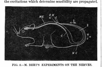 Picture 6 of 10 from Scientific American, Vol. 36, No. 15 (1877) (1877), leaf 4