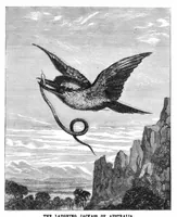 Picture 8 of 10 from Scientific American, Vol. 36, No. 20 (1877) (1877), leaf 8
