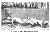 Picture 14 of 19 from Scientific American, Vol. 36, No. 21 (1877) (1877), leaf 9