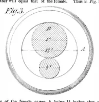An illustration from Scientific American, Vol. 36, No. 24 (1877) (1877)