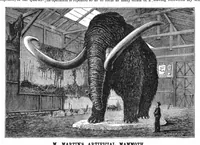 An illustration from Scientific American, Vol. 36, No. 26 (1877) (1877)