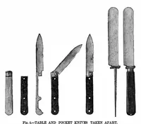 An illustration from Scientific American, Vol. 37, No. 6 (1877) (1877)
