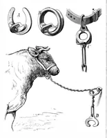 An illustration from Scientific American, Vol. 37, No. 13 (1877) (1877)