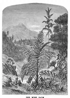 Picture 9 of 13 from Scientific American, Vol. 37, No. 14 (1877) (1877), leaf 8