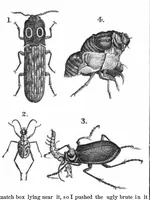 Picture 10 of 13 from Scientific American, Vol. 37, No. 14 (1877) (1877), leaf 8