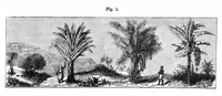 An illustration from Scientific American, Vol. 37, No. 23 (1877) (1877)