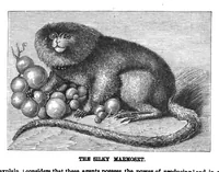 An illustration from Scientific American, Vol. 38, No. 1 (1878) (1878)